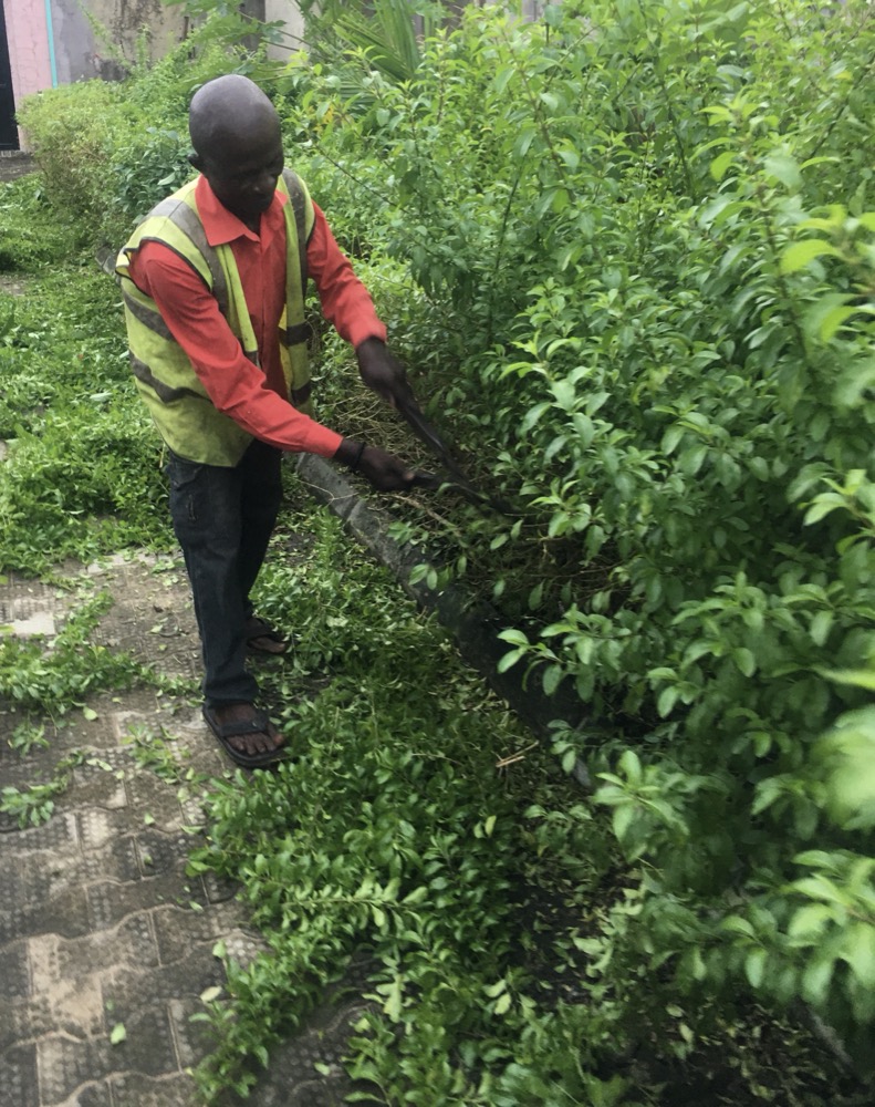 Gardening & Landscaping